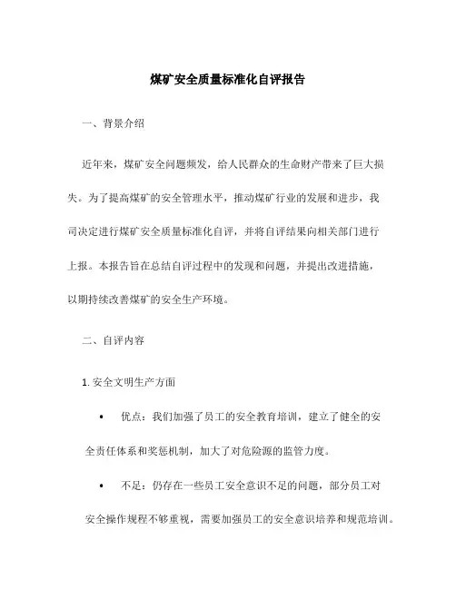 煤矿安全质量标准化自评报告