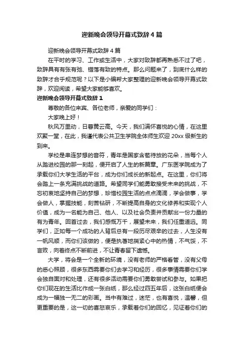 迎新晚会领导开幕式致辞4篇