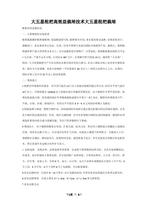 大五星枇杷高效益栽培技术大五星枇杷栽培