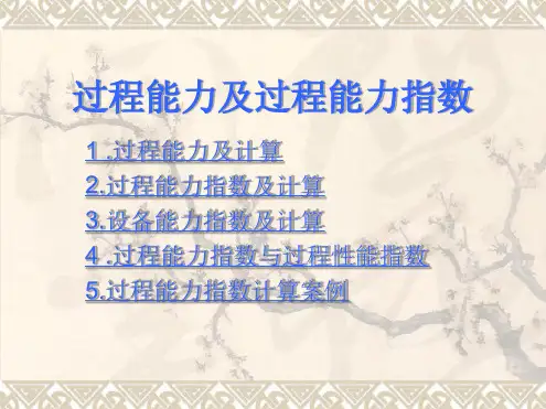 工序过程能力
