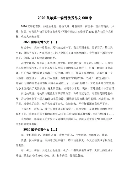 2020鼠年第一场雪优秀作文600字