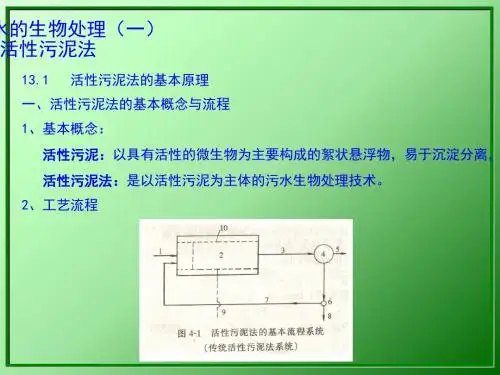 活性污泥法工艺设计