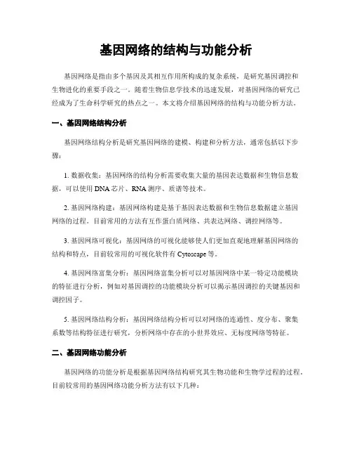 基因网络的结构与功能分析