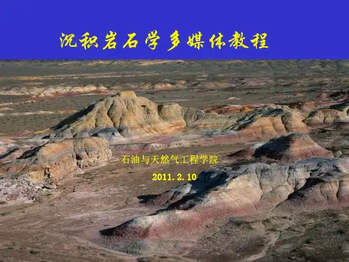 第二十一、二十沉积学多媒体教程第碳酸盐岩沉积环境与沉积相