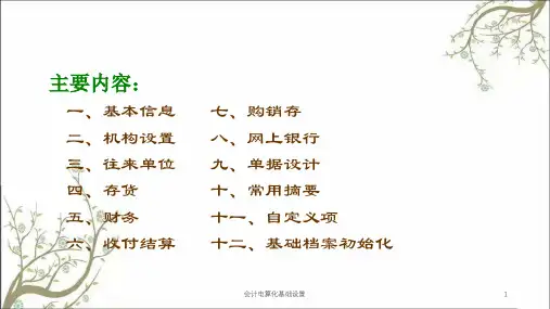 会计电算化基础设置课件