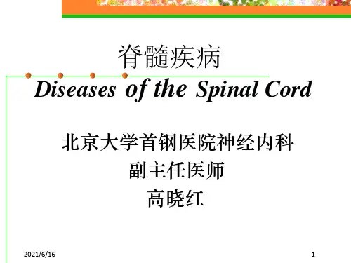 脊髓炎PPT课件