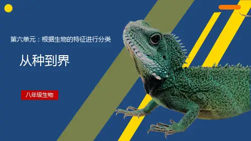 人教版八年级生物上册6.《从种到界》课件