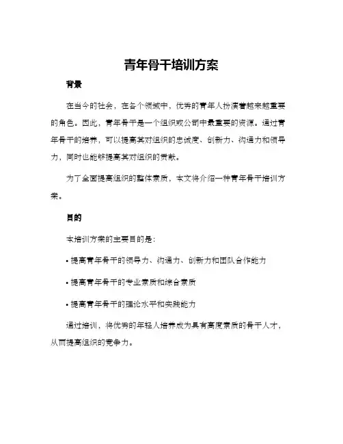 青年骨干培训方案