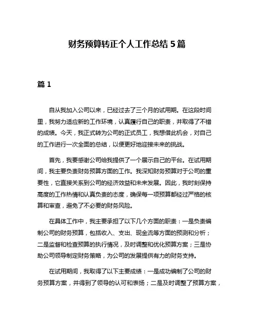 财务预算转正个人工作总结5篇