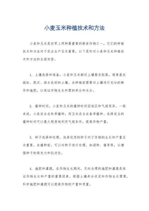 小麦玉米种植技术和方法