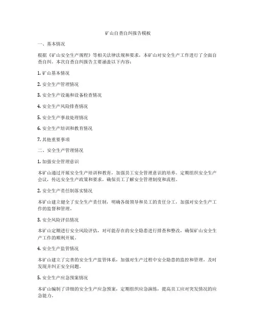 矿山自查自纠报告模板
