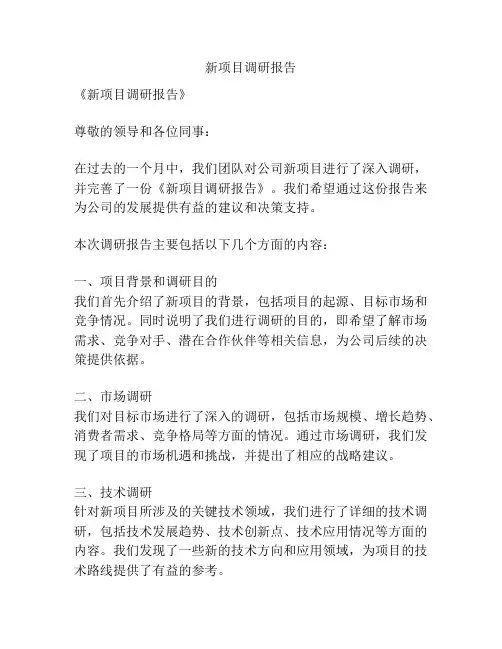 新项目调研报告