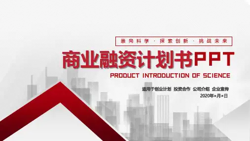 中医诊所项目融资计划ppt