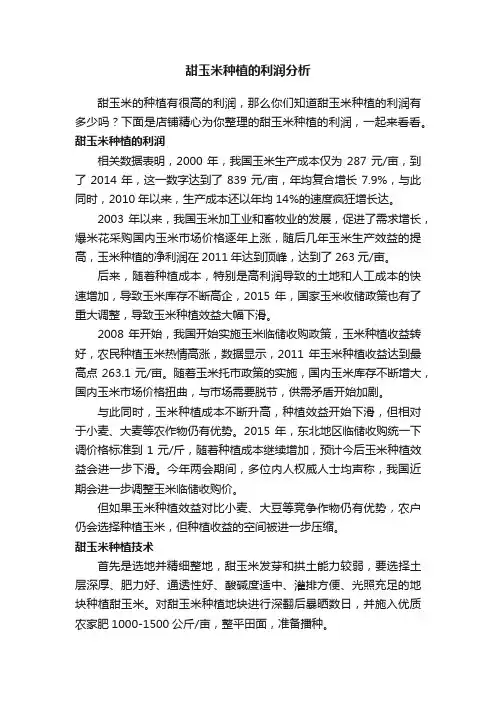 甜玉米种植的利润分析