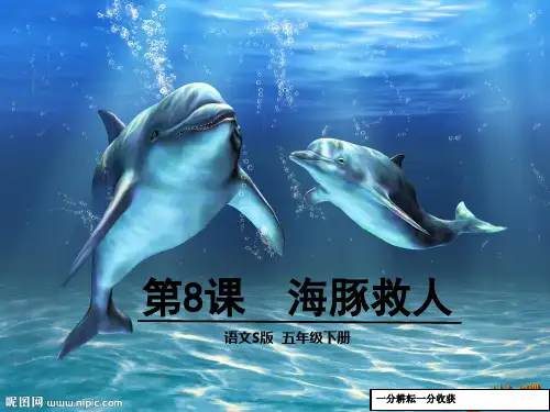 第8课海豚救人-(语文版语文五年级)nqqKMH