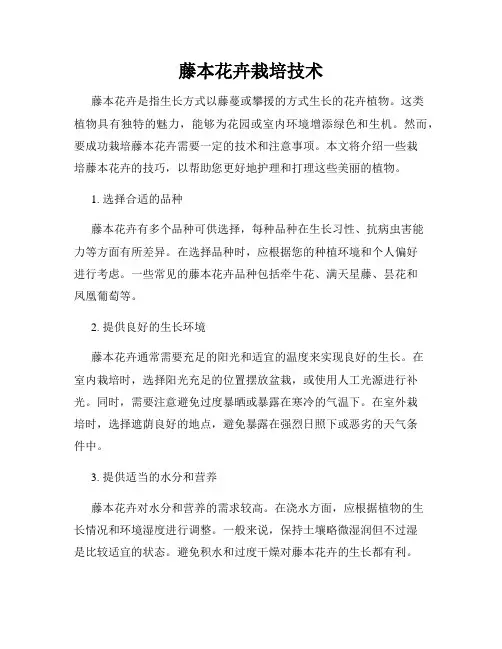藤本花卉栽培技术