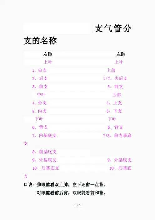 最新肺叶的分段口诀(精品课件)