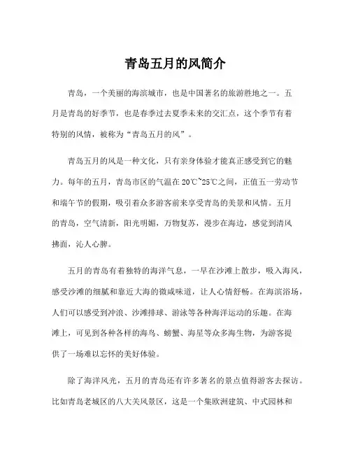 青岛五月的风简介