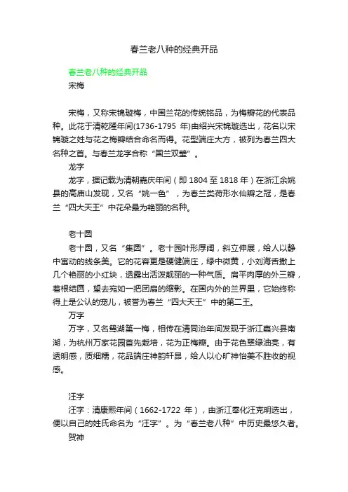 春兰老八种的经典开品