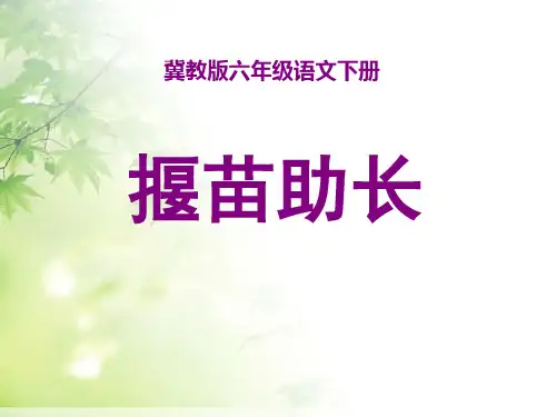 《揠苗助长》PPT课件十二