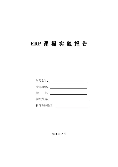 ERP课程实验报告