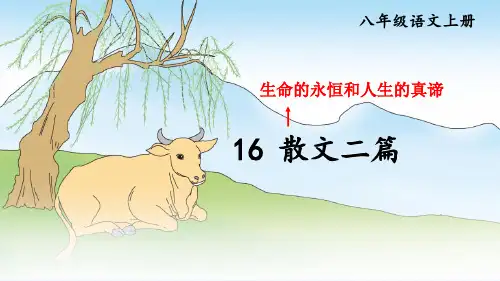人教版八年级语文上册第16课《散文二篇》优质课件