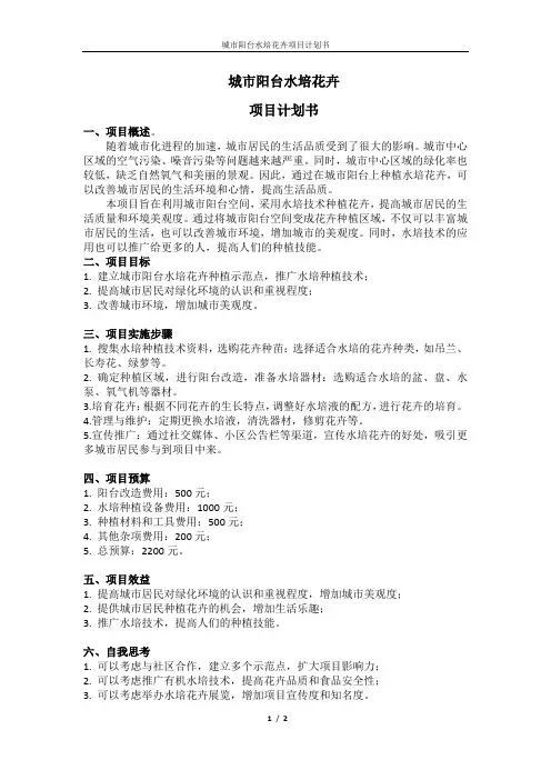城市阳台水培花卉项目计划书