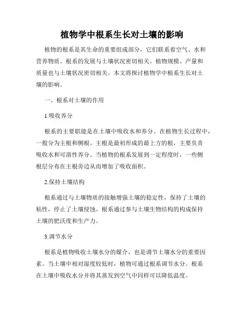 植物学中根系生长对土壤的影响