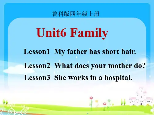 鲁科版四年级英语上册Unit6《Family》教学课件