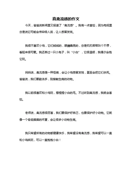 真禽流感的作文