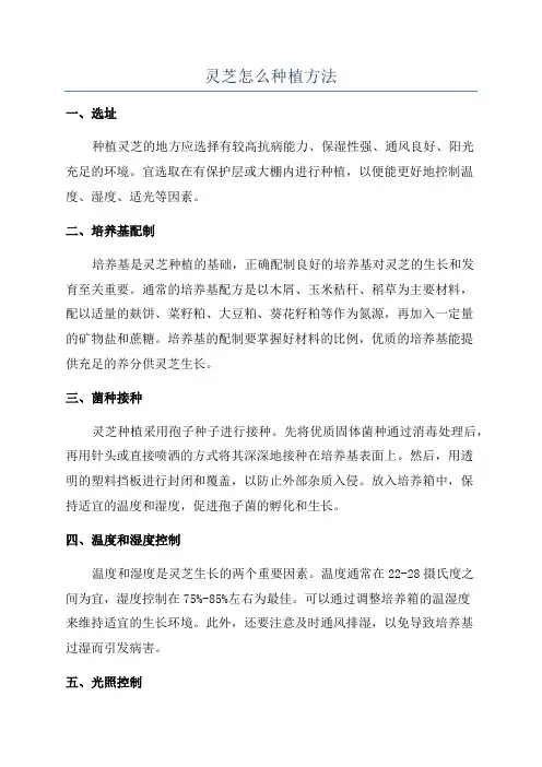 灵芝怎么种植方法