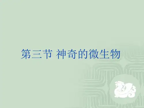 苏教版生物七上5.14.3 神奇的微生物 课件(共23张PPT)