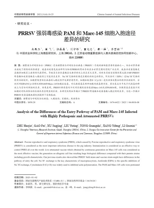 PRRSV强弱毒感染PAM和Marc-145细胞入胞途径差异的研究