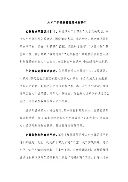 人才工作经验特色亮点材料三