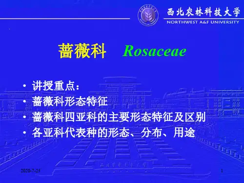【课件】园林植物-树木学-11 蔷薇科(2学时)