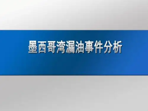 墨西哥湾原油泄漏事件案例分析.