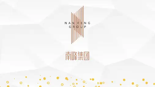 深圳南峰集团实业有限公司企业介绍