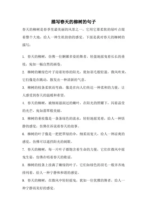 描写春天的柳树的句子