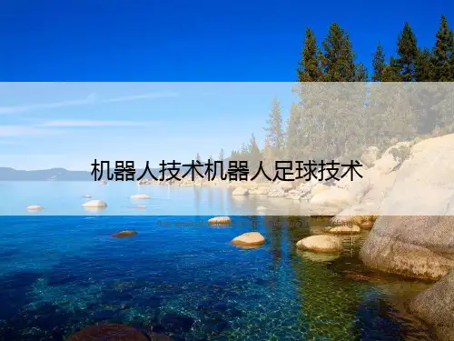 机器人技术机器人足球技术