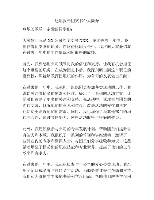 述职报告团支书个人简介