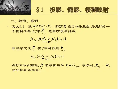 模糊数学3模糊映射与变换模糊关系方程