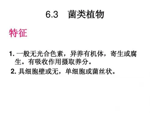 6.3菌类-地衣