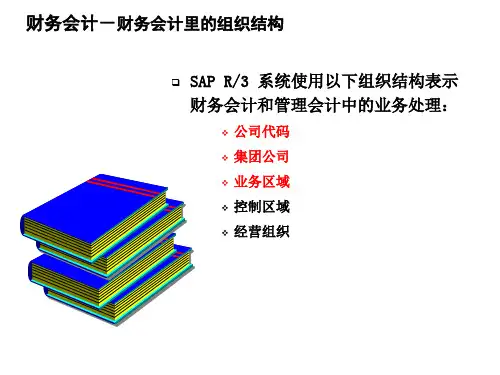 SAP财务会计里的组织结构
