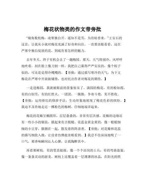 梅花状物类的作文带旁批