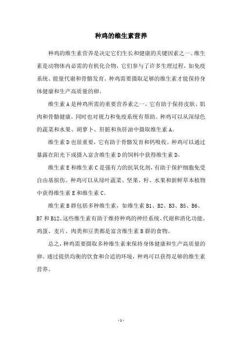 种鸡的维生素营养