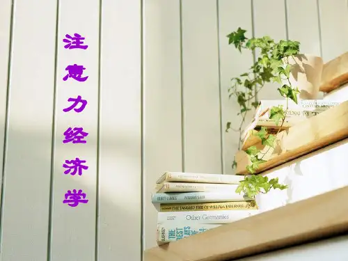 注意力经济学