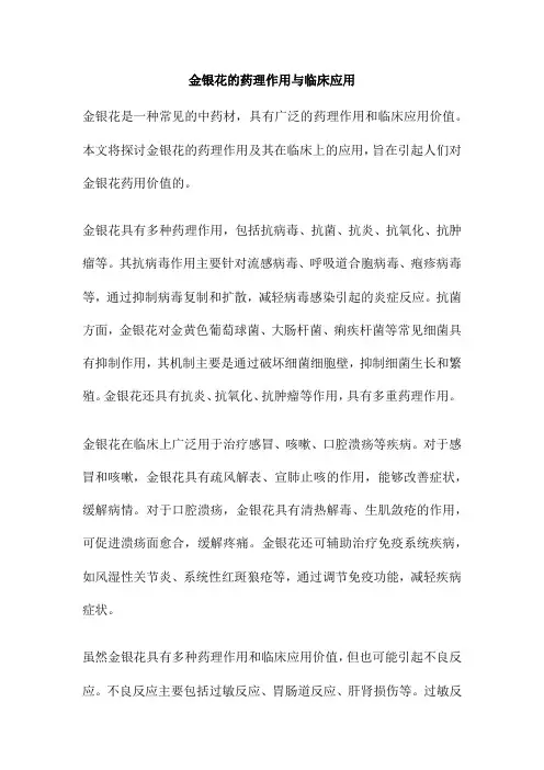 金银花的药理作用与临床应用