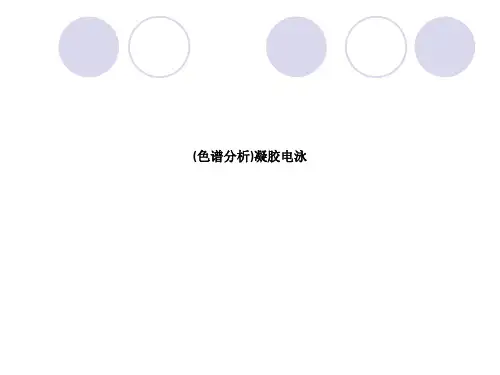 (色谱分析)凝胶电泳