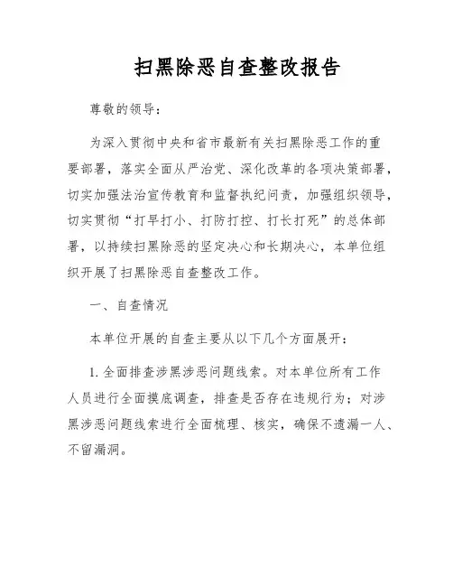 扫黑除恶自查整改报告