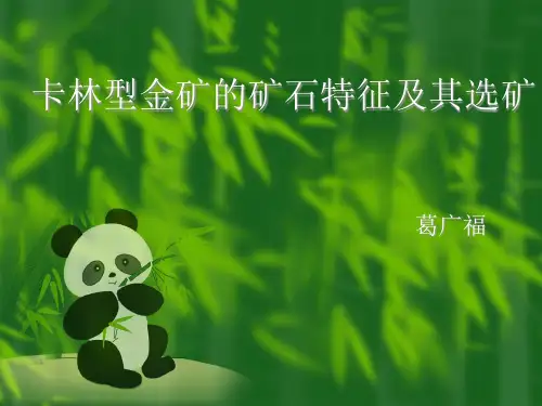 卡林型金矿的矿石特征及其选矿